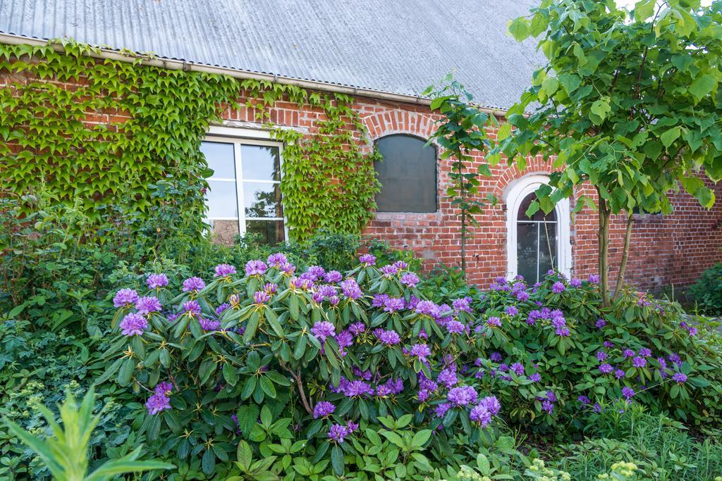 Ferienhof Kolauerhof - Bauernhofurlaub In Groemitz Ngoại thất bức ảnh