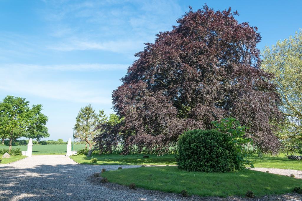 Ferienhof Kolauerhof - Bauernhofurlaub In Groemitz Ngoại thất bức ảnh